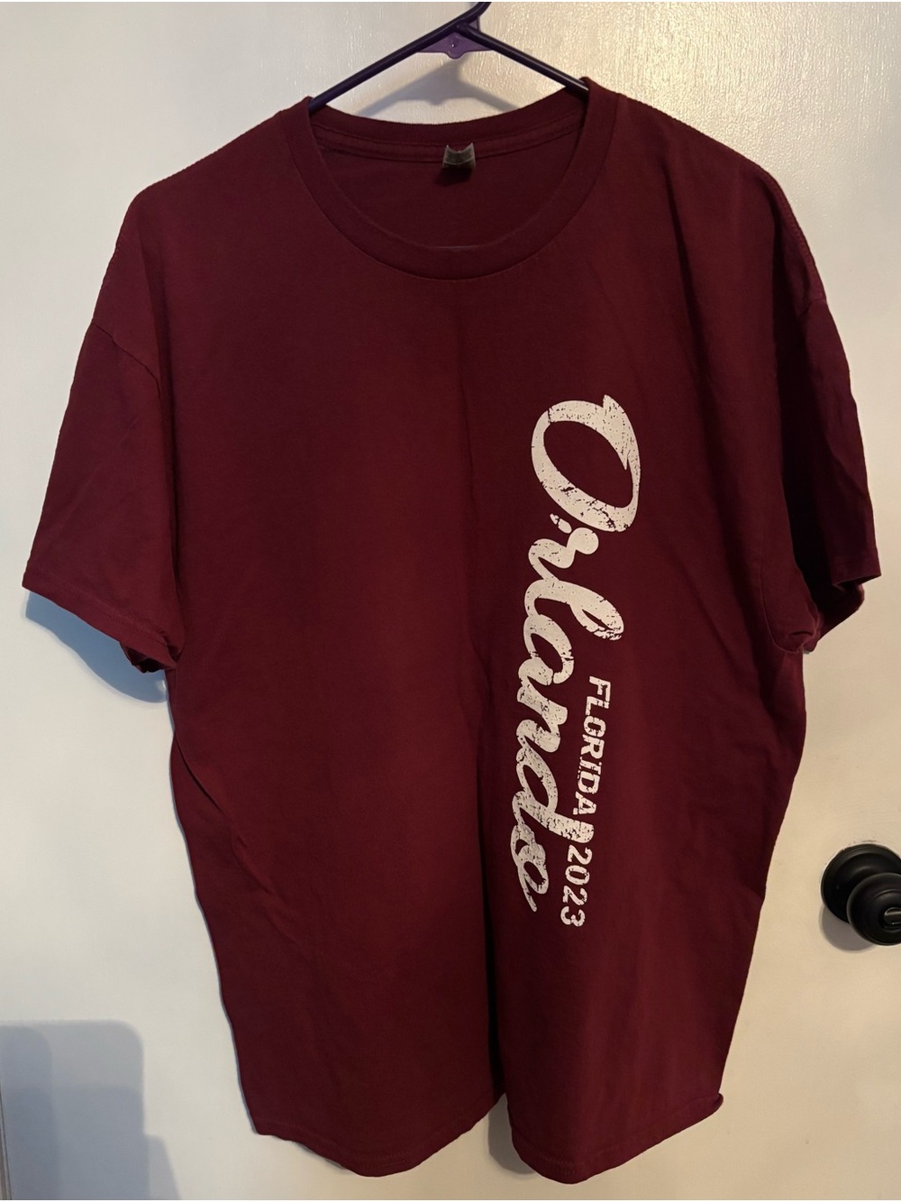 Gildan Maroon Orlando Graphic Tee - Men's Short Sleeve